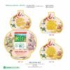 Lịch Bìa Treo 2027 HBT Mẫu HBT109 (13 x 19cm) Quà Tặng Bàn Làm Việc Văn Phòng Hiện Đại in logo doanh nghiệp quà tặng Tết tại Quà Tặng Văn Phòng