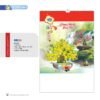 Lịch Treo Tường Lò Xo 2027 NB Mẫu NB253 (16 x 25 cm) Quà Tặng Bàn Làm Việc Văn Phòng Hiện Đại in logo doanh nghiệp quà tặng Tết tại Quà Tặng Văn Phòng